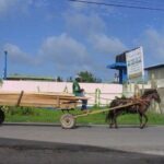 horse cart