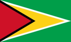 Flag of Guyana