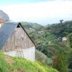 Farming in Madeira