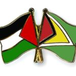 Flag Pins Palestine Guyana