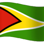 animated flag guyana