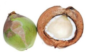 Green Coconut Husks (Photo Courtesy of Essentium Materials, LLC)