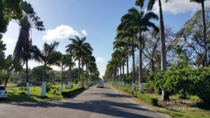 Botanical Gardens